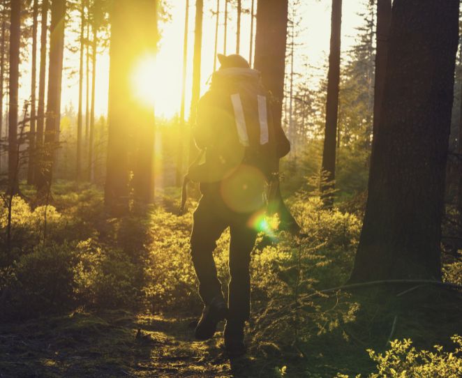 Person går på tur i skogen i solksinn